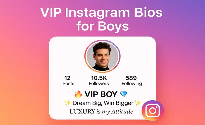 instagram vip bio