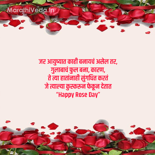 Rose Day Quotes In Marathi 3