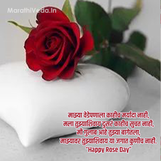 Rose Day Quotes In Marathi 4
