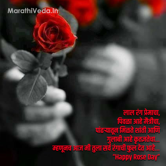Rose Day Quotes In Marathi 7