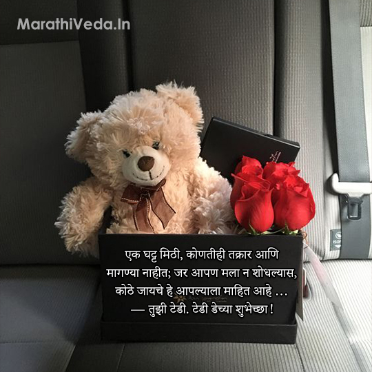 Teddy Day Marathi Status 2