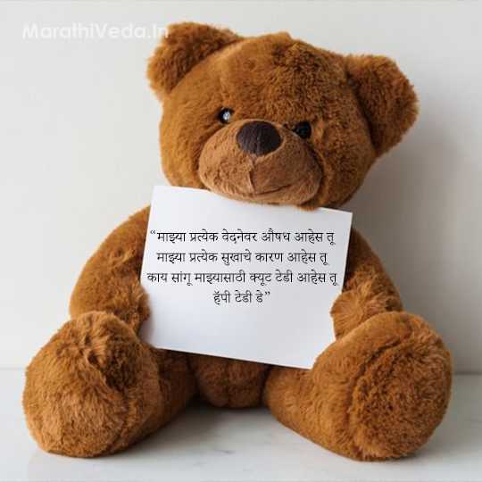 Teddy Day Marathi Status 8